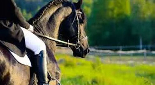 Reiten Reiten